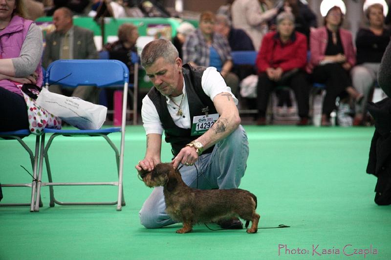 Crufts2011_2 950.jpg